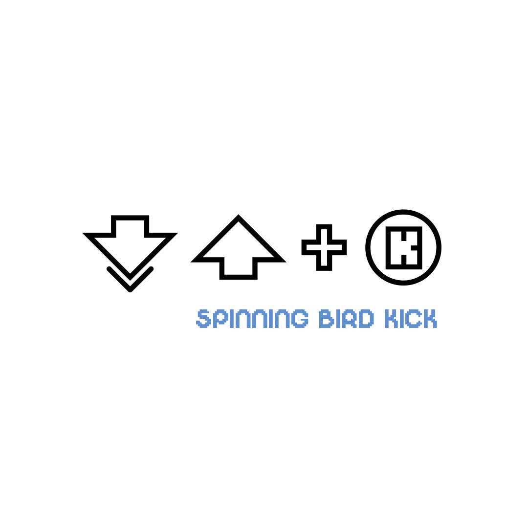 Multiplatform_StreetFighter_SpinningBirdKick_MockUp_Design